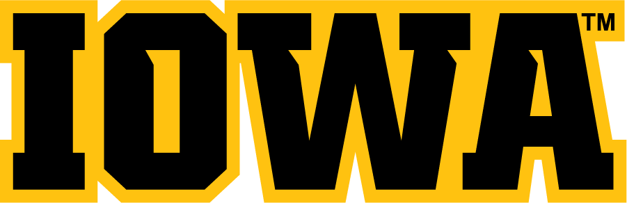 Iowa Hawkeyes 2012-Pres Wordmark Logo iron on transfers for T-shirts